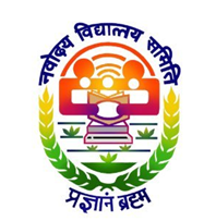 NVS logo